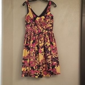 Taylor Size 2 Dress